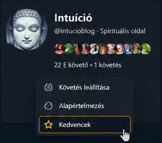 Intuíció Facebook-oldal – Kedvencek beállítása